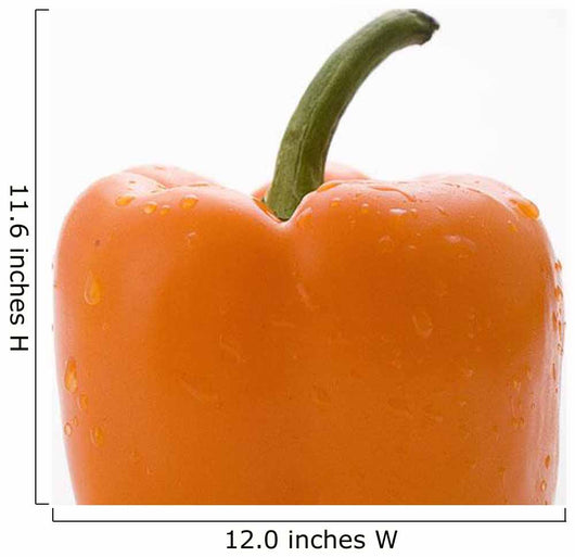 Side View Orange Pepper Wall Mural