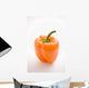 Single Orange Pepper Wall Mural