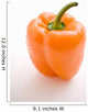 Single Orange Pepper Wall Mural