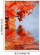 Tree 002