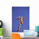 Masai Giraffe, Serengeti, Africa Wall Mural