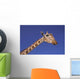 Masai Giraffe, Serengeti, Africa Wall Mural
