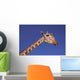 Masai Giraffe, Serengeti, Africa Wall Mural