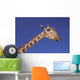 Masai Giraffe, Serengeti, Africa Wall Mural