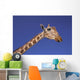 Masai Giraffe, Serengeti, Africa Wall Mural