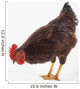 Rooster Wall Decal