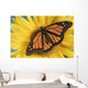 Monarch Butterfly On Sunflower Wall Mural