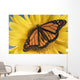 Monarch Butterfly On Sunflower Wall Mural