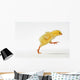 Yellow Chick Baby Chicken Wall Mural