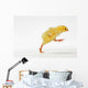 Yellow Chick Baby Chicken Wall Mural