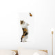 Kitten And Monarch Butterfly Wall Decal