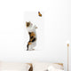 Kitten And Monarch Butterfly Wall Decal