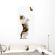 Kitten And Monarch Butterfly Wall Decal