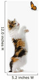 Kitten And Monarch Butterfly Wall Decal