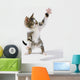 Kitten Wall Mural