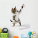 Kitten Wall Mural
