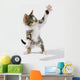 Kitten Wall Mural