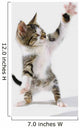 Kitten Wall Mural