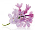 Lilac Flower Wall Decal