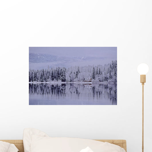 Early Winter Snow Greys The Trees Wall Mural