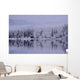 Early Winter Snow Greys The Trees Wall Mural