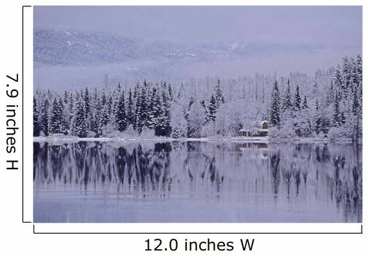 Early Winter Snow Greys The Trees Wall Mural