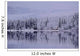 Early Winter Snow Greys The Trees Wall Mural