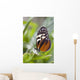 Tiger Longwing Butterfly Resting On Leaf Wall Mural