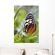 Tiger Longwing Butterfly Resting On Leaf Wall Mural