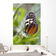 Tiger Longwing Butterfly Resting On Leaf Wall Mural