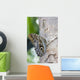 Owl Butterfly Resting On Trunk Wall Mural