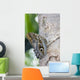 Owl Butterfly Resting On Trunk Wall Mural