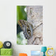 Owl Butterfly Resting On Trunk Wall Mural