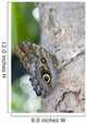 Owl Butterfly Resting On Trunk Wall Mural