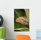 Owl Butterfly Resting On Trunk Wall Mural