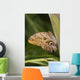 Owl Butterfly Resting On Trunk Wall Mural