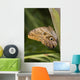 Owl Butterfly Resting On Trunk Wall Mural