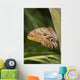 Owl Butterfly Resting On Trunk Wall Mural