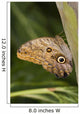 Owl Butterfly Resting On Trunk Wall Mural