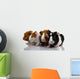 Four Baby Guinea Pigs Wall Decal