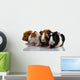 Four Baby Guinea Pigs Wall Decal