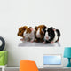 Four Baby Guinea Pigs Wall Decal