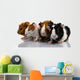 Four Baby Guinea Pigs Wall Decal