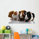 Four Baby Guinea Pigs Wall Decal