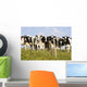 View Of Cows, Bas-Saint-Laurent Region, Quebec, Canada Wall Mural