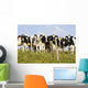 View Of Cows, Bas-Saint-Laurent Region, Quebec, Canada Wall Mural