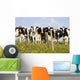 View Of Cows, Bas-Saint-Laurent Region, Quebec, Canada Wall Mural