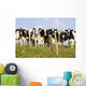 View Of Cows, Bas-Saint-Laurent Region, Quebec, Canada Wall Mural