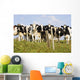 View Of Cows, Bas-Saint-Laurent Region, Quebec, Canada Wall Mural
