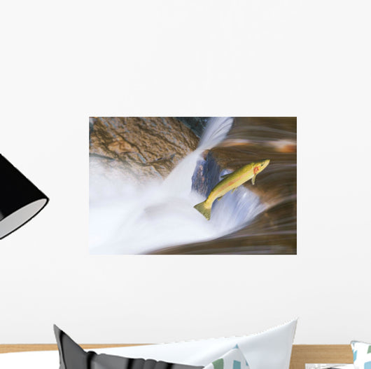 Miigrating Steelhead Salmon Leaping Over Falls Wall Mural